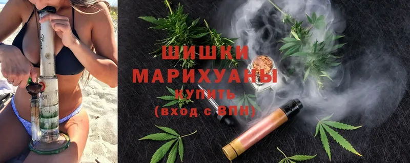 Марихуана OG Kush  Зея 